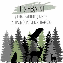 11 января — День заповедников и национальных парков России Ежегодно 11 января в России отмечается День заповедников и национальных парков. 11 января — День заповедников и национальных парков России Ежегодно 11 января в России отмечается День заповедников и национальных парков.